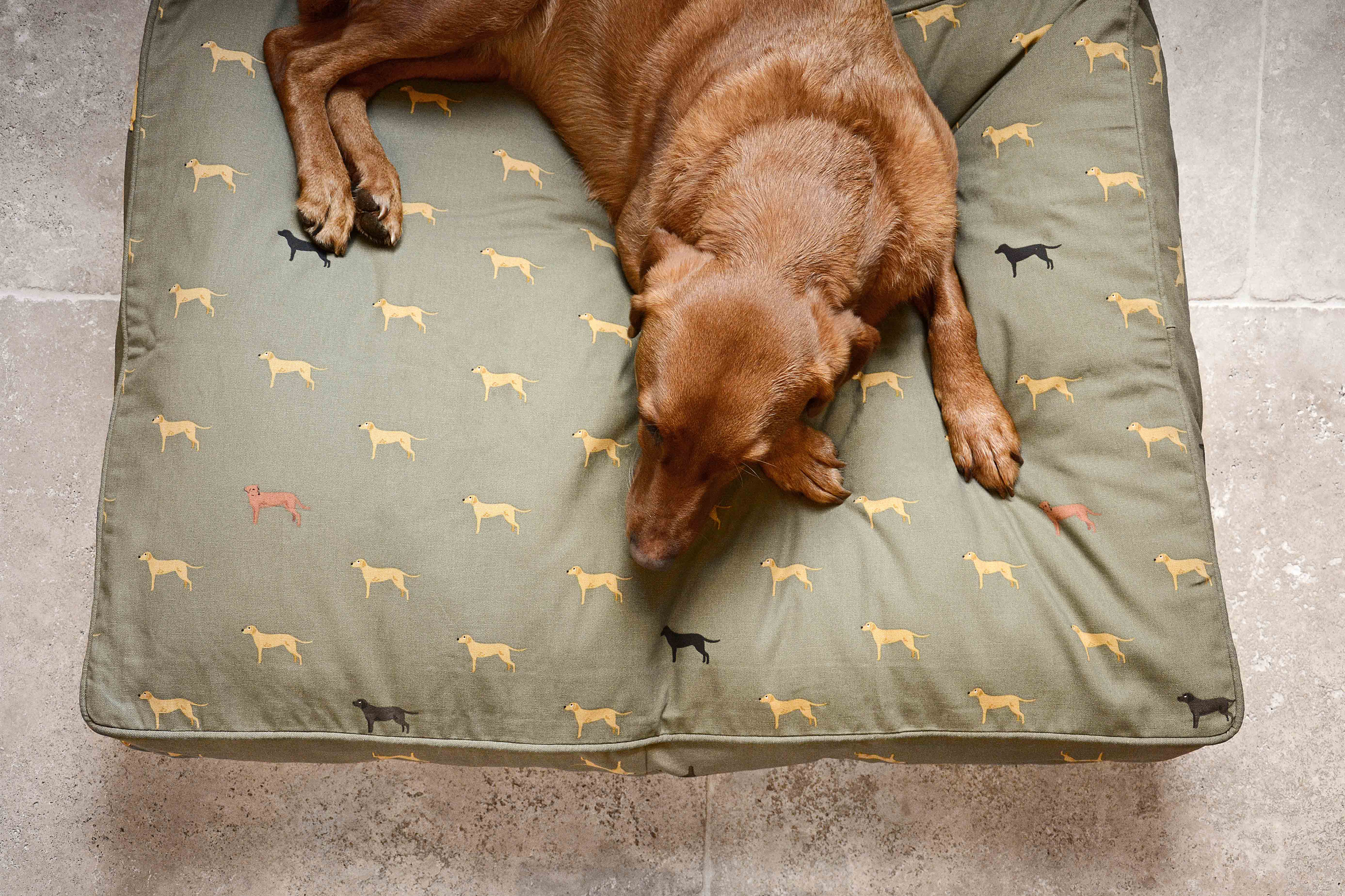 sydney sleep mattress creative pet solutions